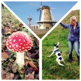 Profilfoto von Melanie Groth