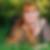 Profilbild von Christina Verardo
