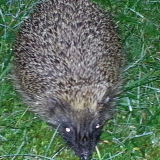 Profilfoto von Maximilian Müller