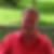 Profilbild von Harald Vietz
