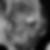 Profilbild von Peter Lojewski