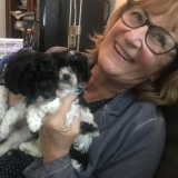 Profilfoto von Renate Sieke