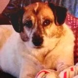 Profilfoto von Marion Reinelt