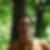 Profilbild von Nicolas Roussey
