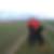 Profilbild von Andreas Thiede