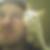 Profilbild von Erich Breckoff