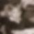 Profilbild von Thomas Bertz