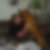 Profilbild von Pamela Herhold