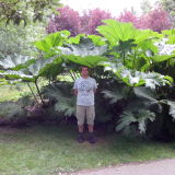 Profilfoto Jürgen Wollny Profilfoto von Jürgen Wollny