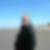 Profilbild von Andreas Ferlic