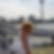 Profilbild von Heike Jacobs