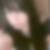 Profilbild von Melanie Hergt