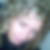 Profilbild von Susan Stefan