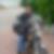 Profilbild von Elke Walther