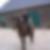 Profilbild von Guido Greschuchna