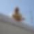 Profilbild von Christian Link