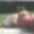 Profilbild von Sofia Last