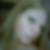 Profilbild von Jasmin Hanne