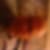 Profilbild von Gernot Hallwachs