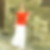 Profilbild von Roswitha Zschunke