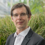 Profilfoto Martin Dominik Profilfoto von Martin Dominik