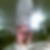 Profilbild von Benjamin Mohrenweiser