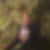 Profilbild von Resi Stieding