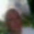 Profilbild von Willi Reinke