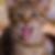 Profilbild von Alex Tinck