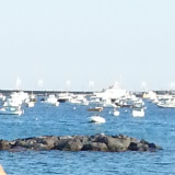 Profilfoto Marianne Schaaf Profilfoto von Marianne Schaaf