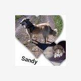 Profilfoto von Mary Huxmann