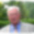Profilbild von Herbert Stamm