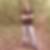 Profilbild von Tom Dennstedt
