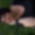 Profilbild von Sonja Hangarter