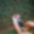 Profilbild von Andrea Wedler
