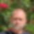 Profilbild von Roland Knoll