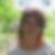 Profilbild von Silvia Jessen