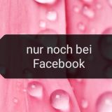 Profilfoto von Ingrid Steinborn