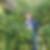 Profilbild von Berner Bieltz Florin