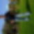 Profilbild von Andreas Herzstell