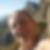 Profilbild von Ira Beeck