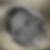 Profilbild von Petra Wah