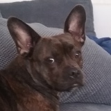 Profilfoto von Metin Aga