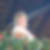 Profilbild von Dagmar Schlammer