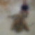 Profilbild von Lothar Wendels