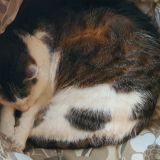 Profilfoto von Monika Jung