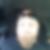 Profilbild von Olaf Vereschild