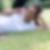 Profilbild von Mirjam Dreyer