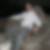Profilbild von Denis Wind