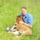 Profilfoto Kathrin Steinhauer Profilfoto von Kathrin Steinhauer